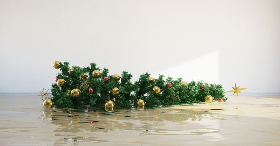 Prevent a Christmas Disaster in Your Home