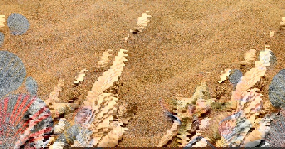 Jersey: Islanders reminded to buy travel insurance