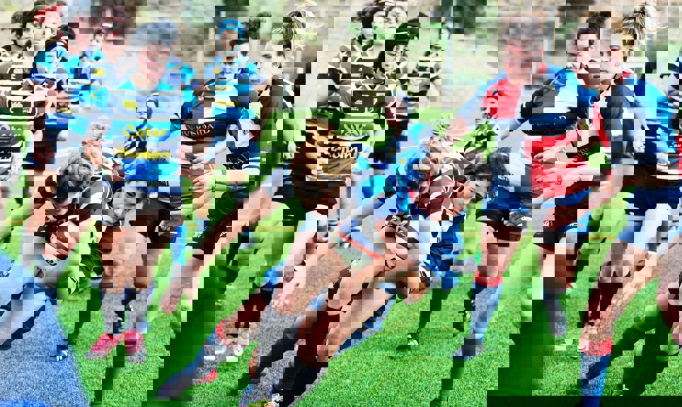 Quino Al Uwu5qhetnvc Unsplash