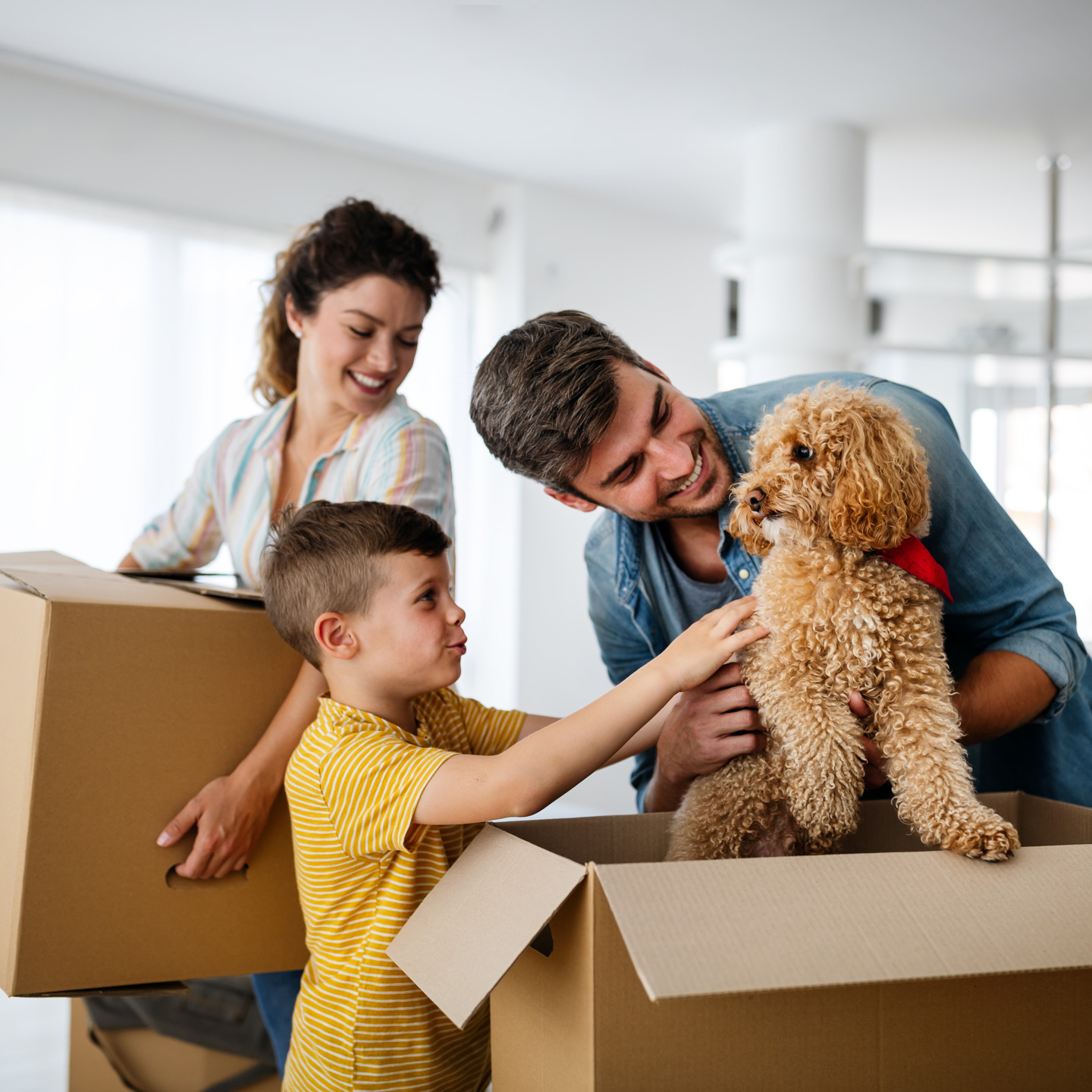 Husband and wife and their son with dog moving in new home. Family, relocation, moving in concept.