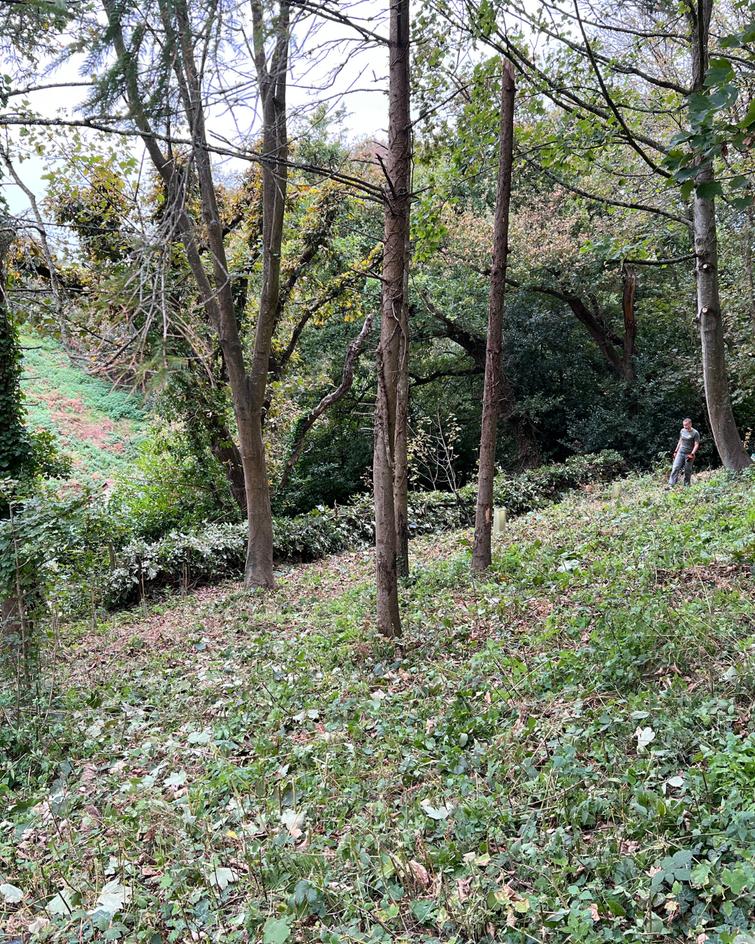 2025 10 10 Rossborough IG (2)