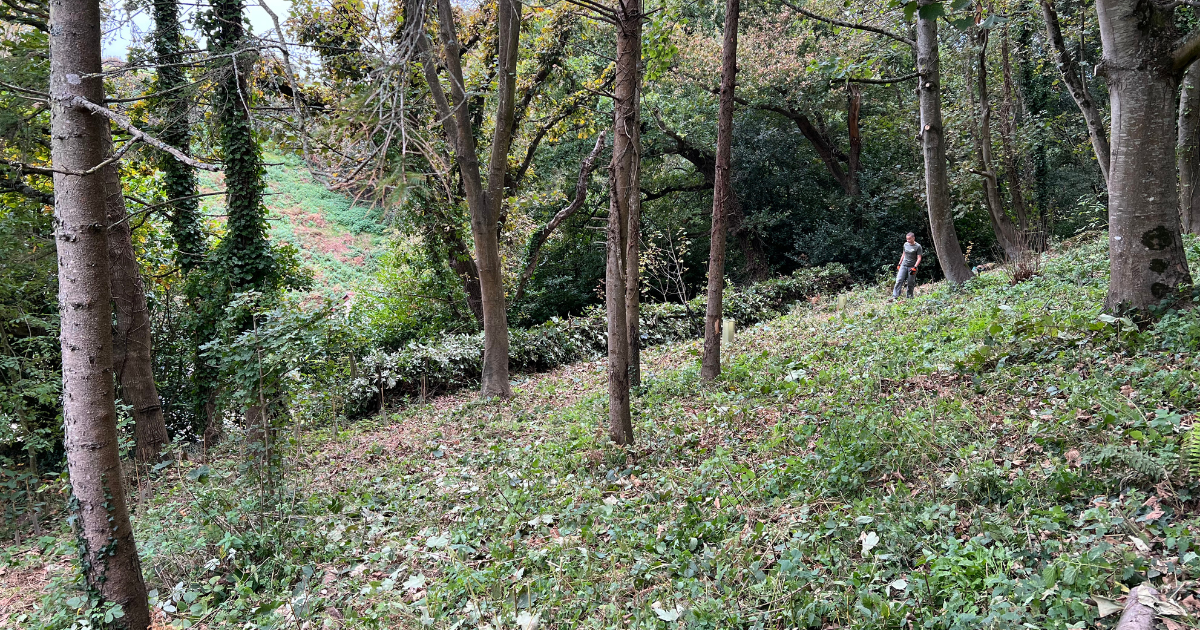 2025 10 10 Rossborough FB LI (4)