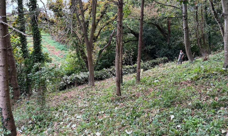 2025 10 10 Rossborough FB LI (4)