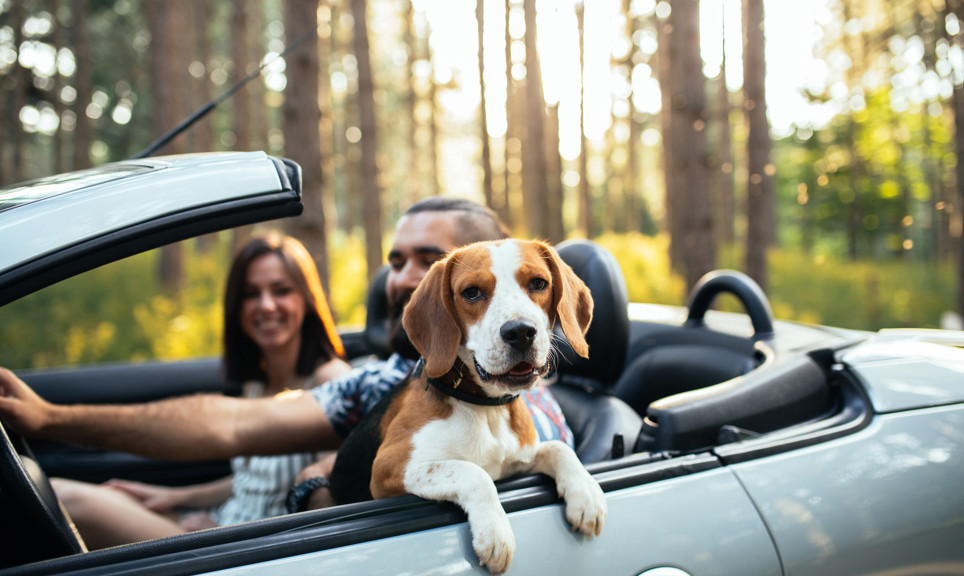 Istock 1183232410 (1)